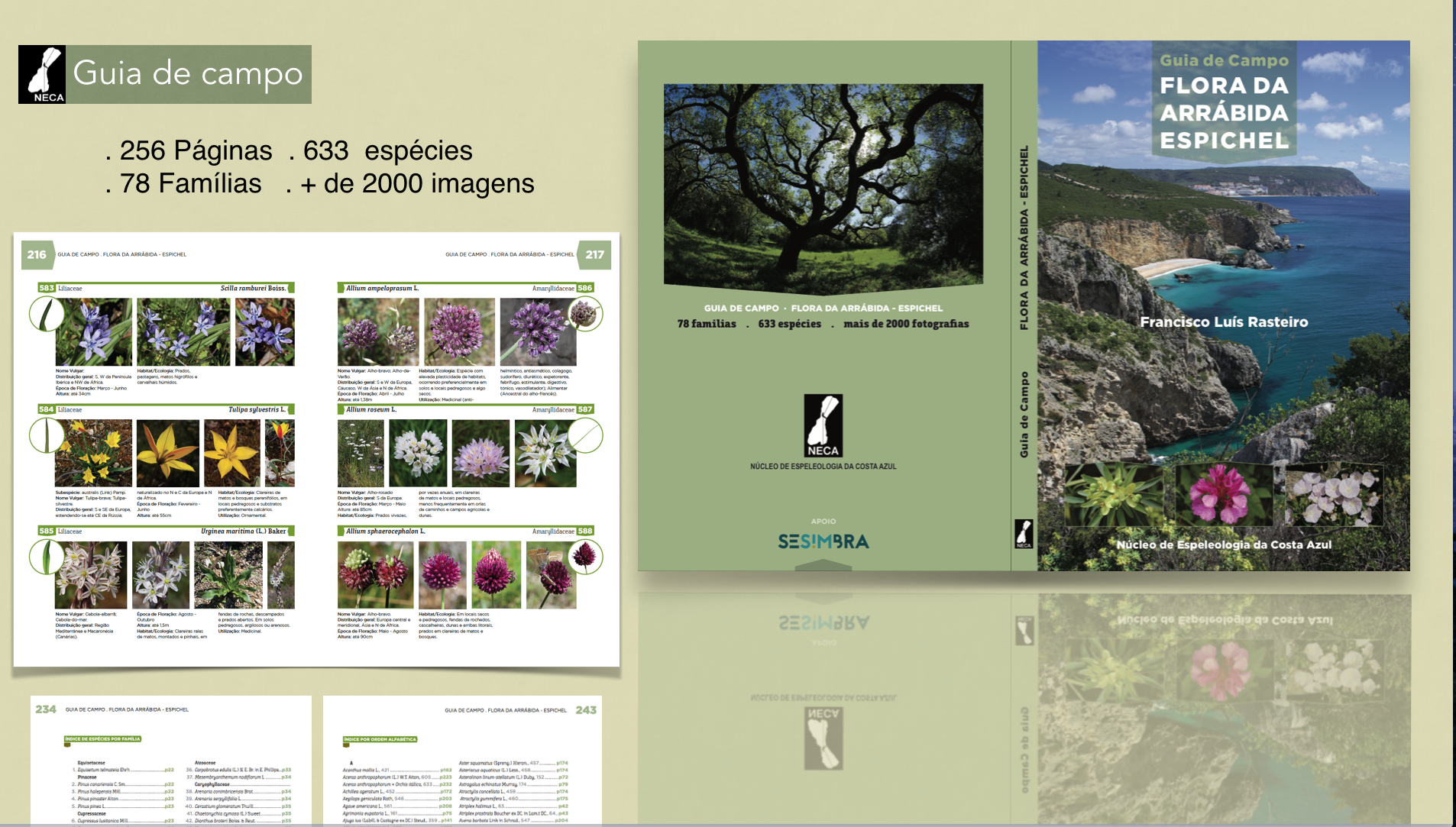 Guia de Campo da Arrábida